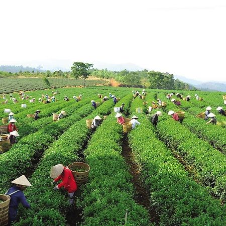 Ngoc Vy Hotel Bao Loc Exteriör bild